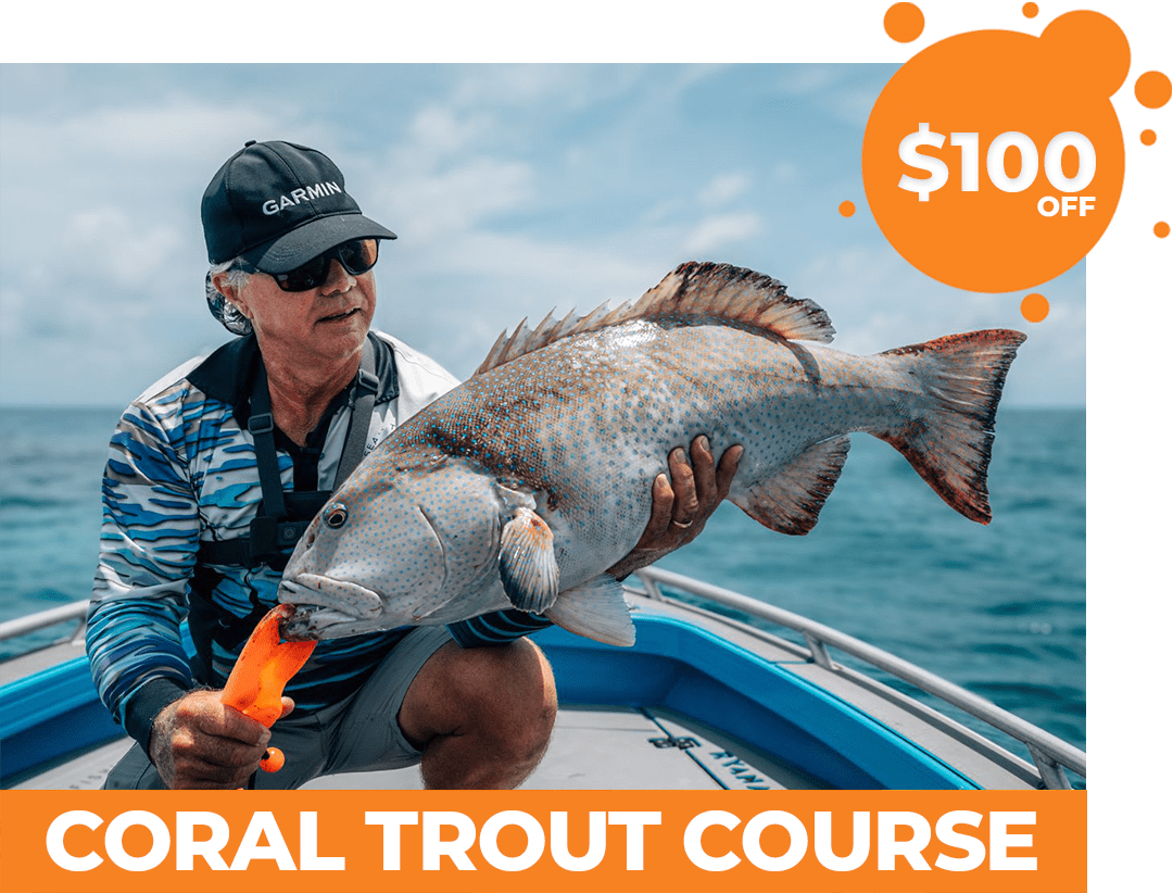 Coral Trout / Grouper course visual